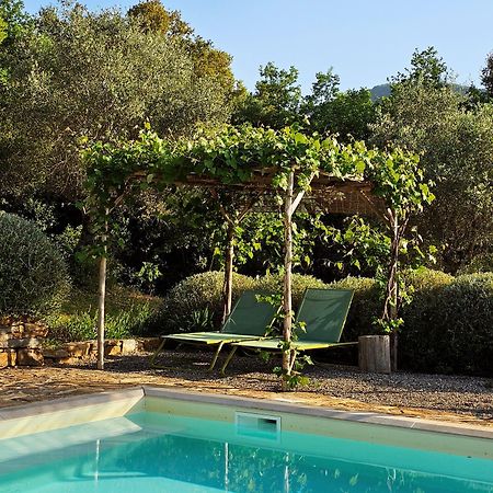 Giardino Dei Sugheri Scarlino Luaran gambar