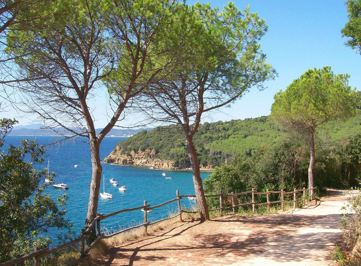 Giardino Dei Sugheri Scarlino Luaran gambar